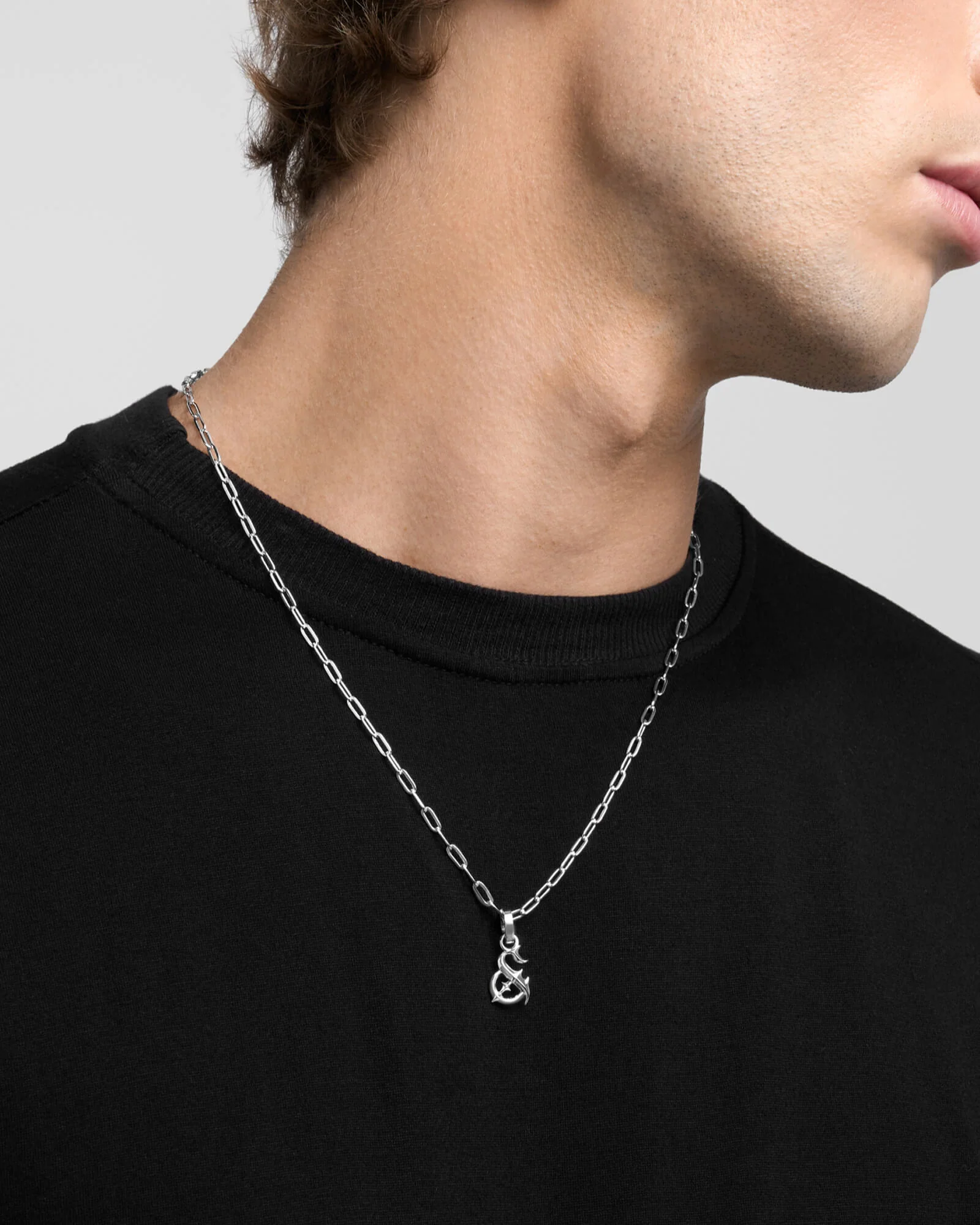 Lynx Necklace and Charm Bundle - Image 2