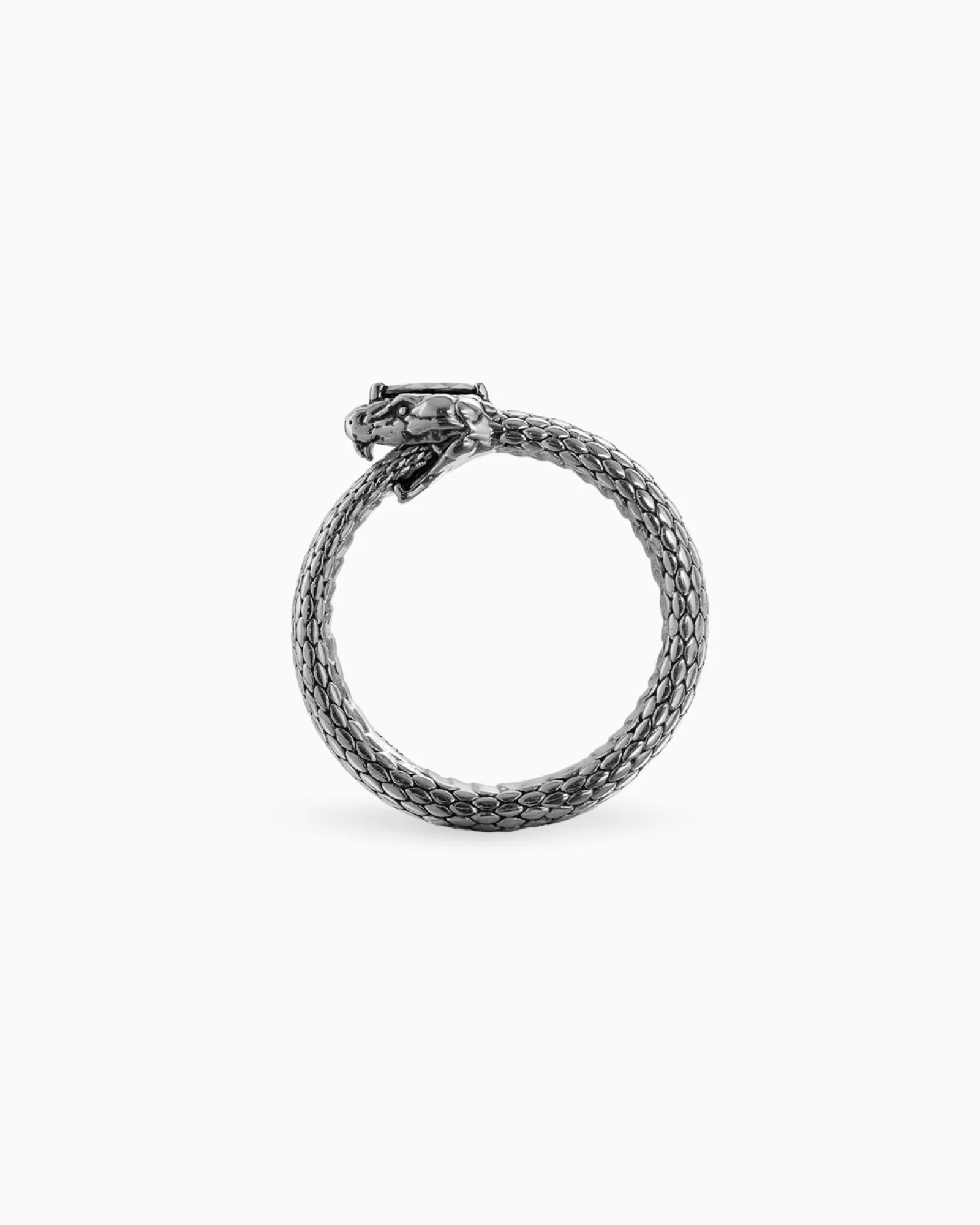Ouroboros Ring - Image 8