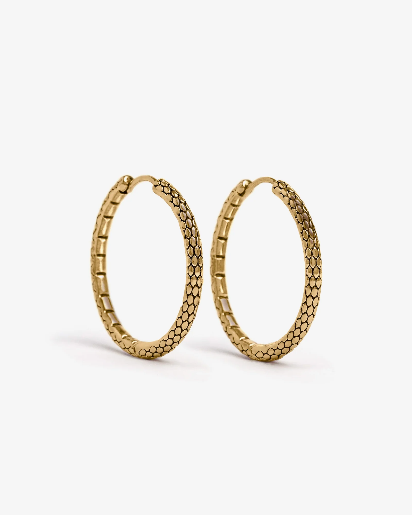 Serpent Hoop Earrings - Image 10