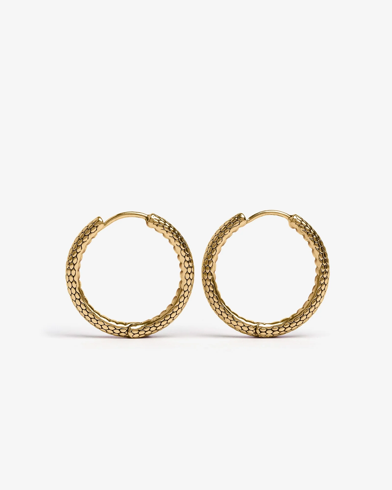 Serpent Hoop Earrings - Image 11
