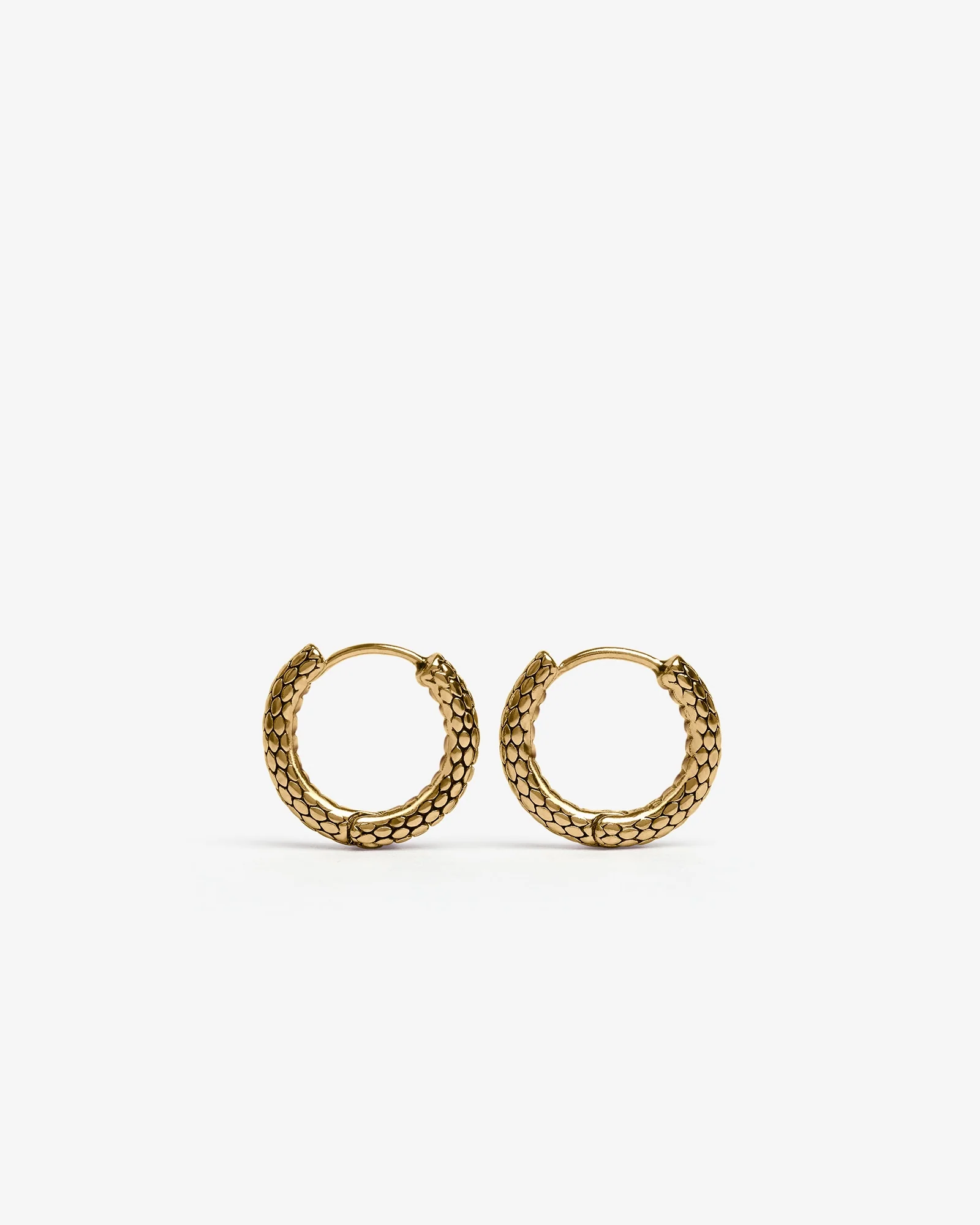 Serpent Hoop Earrings - Image 12