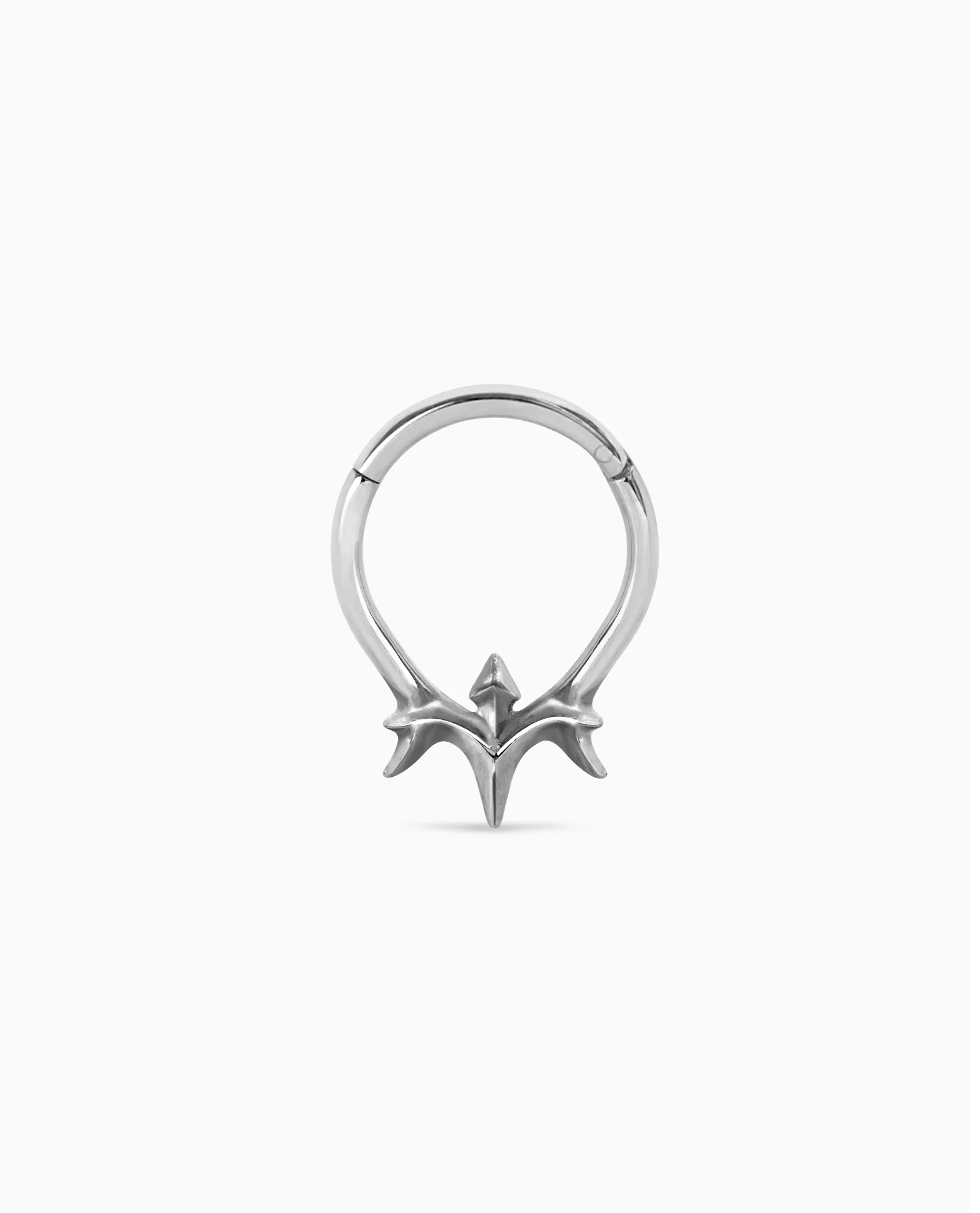 Vertebrae clicker - Image 8