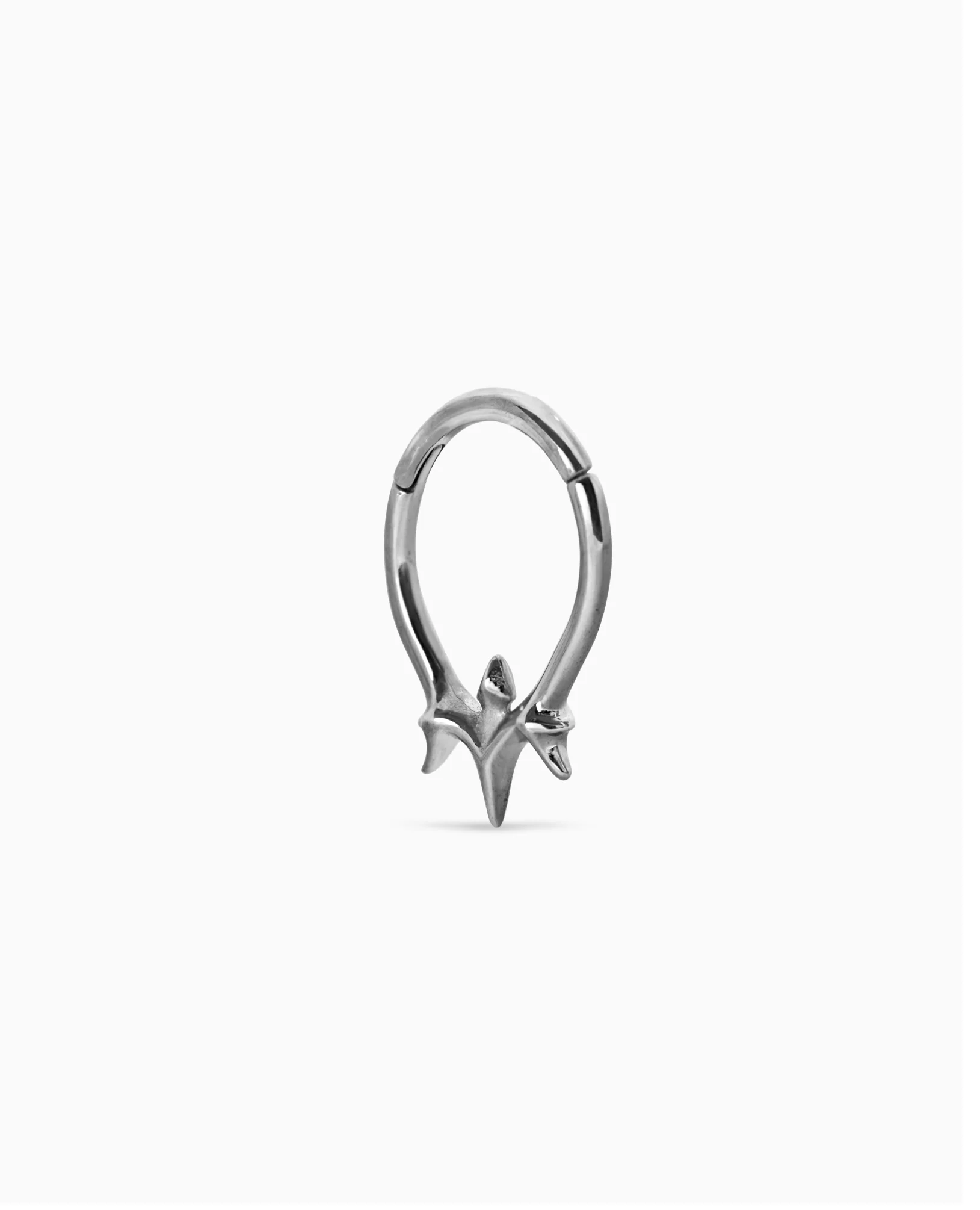 Vertebrae clicker - Image 9
